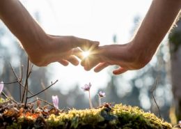 Austin Party Psychic, Radiant Gratitude, Tarot Readings