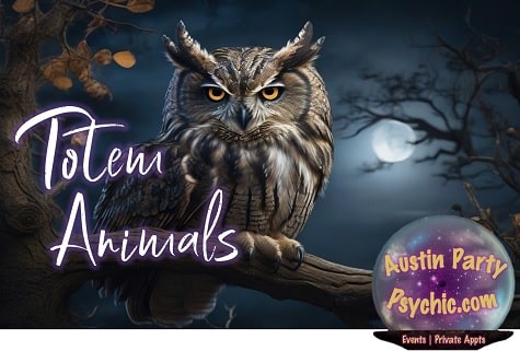 Totem animals, owl spirit animal, spirit animal the owl, animal totem, animal totem fox, spirit guide animal, The best psychic reader for parties in Austin Texas, austin party psychic reader, psychic reader for parties, psychic readings at a party, tarot readings for parties, psychic readings for parties, psychic home parties, tarot reading near me, accurate tarot reading, psychic tarot, tarot prediction, Tarot Card Readings, fortune teller, fortune teller for parties, psychic advisor, psychic counselor, psychic intuitive Halloween, bachelorette party, bachelorette parties, bridal showers, weddings, themed weddings, holiday parties, Halloween Parties, Graduation parties, New Year's, event planning, event planners, corporate events, company events